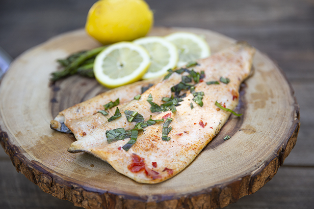 Blackhawk Fly Fishing