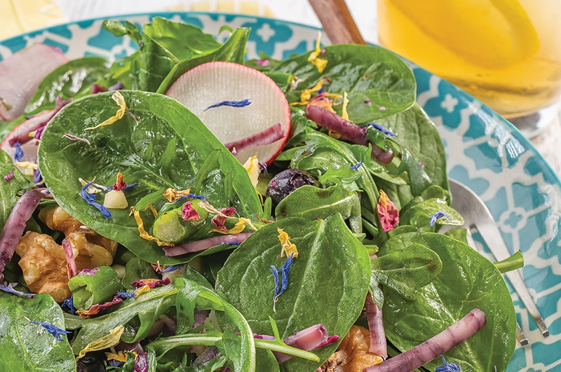 Fresh Blueberry and Radish Summer Salad