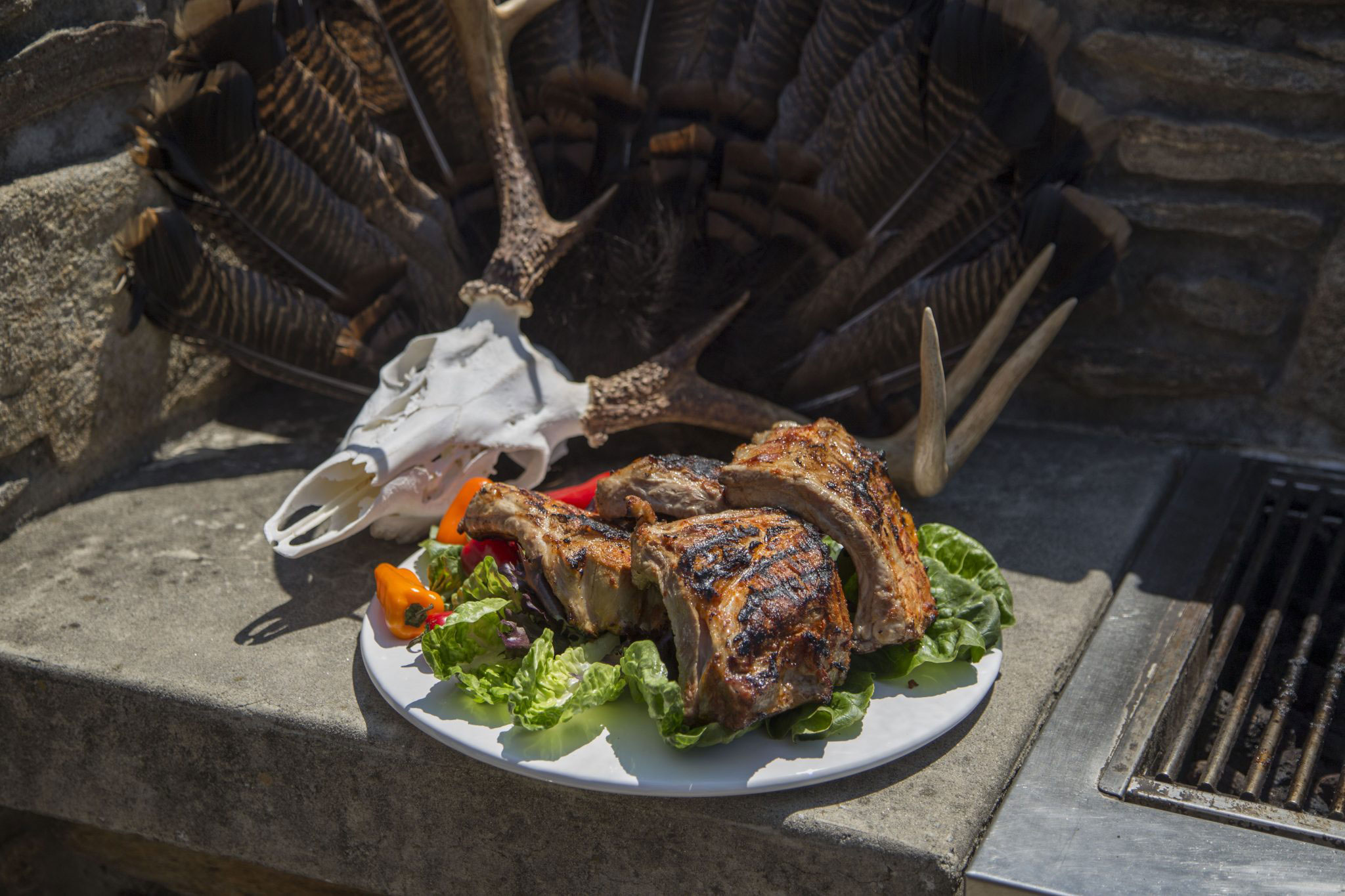 Rib Tip #1